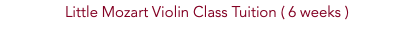 Little Mozart Violin Class Tuition ( 6 weeks )